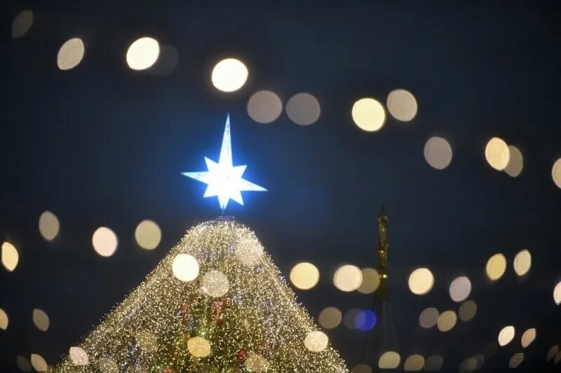 Стих звезда кочельника. Появление первой звезды в сочельник. Сочельник традиции. Во сколько появляется звезда в сочельник. Сочельник в произведениях писателей.