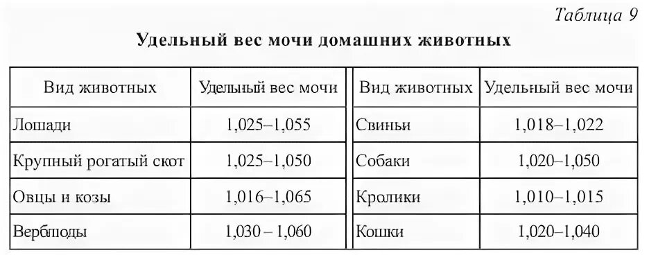 Плотность мочи повышена у мужчин