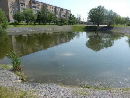 Камеры речка