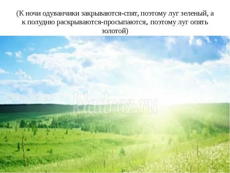 Повторяемый эхом зеленеющий луг. Торопова просыпаются луга. золотой луг вечером.