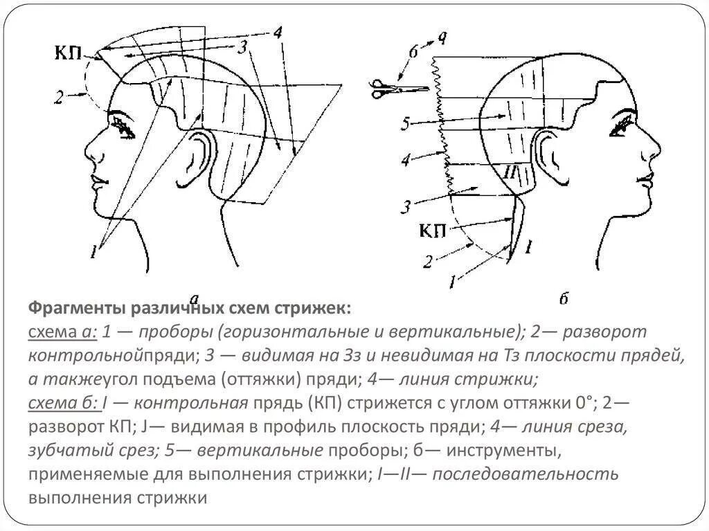 Зона затылка. ФРАГМЕНТЫ различных схем стрижек. Основные схемы стрижек. Методика проекции стрижка. Горизонтальный пробор схема.