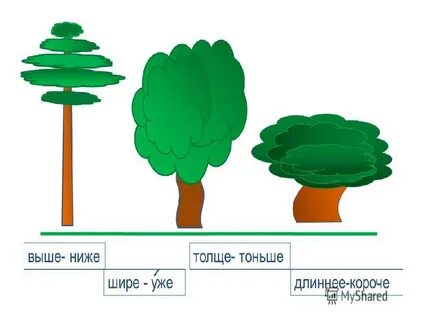 Чем она длиннее