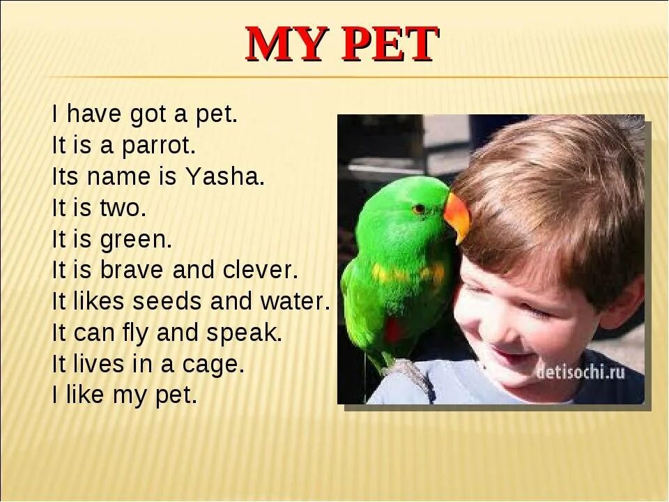 My pet перевод. My Pet по английскому. Рассказ my Pet. Проект my Pet. Проект по английскому my Pet.