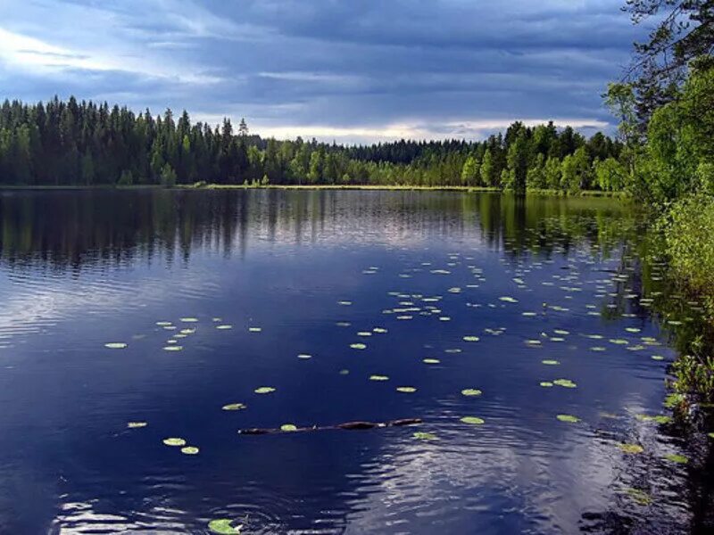 Финское озеро 5. Озеро Суоми Финляндия. Финляндия озеро Паасселкя. Озеро Пяйянне Финляндия. Финские озера Финляндия.