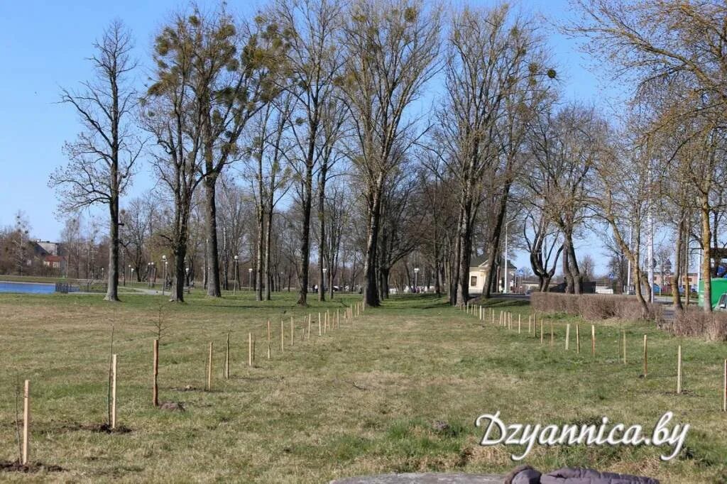 Деревня волчки. Деревня волчки
