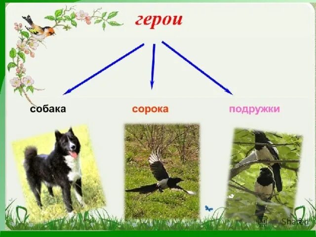 Как рассказчик относится к вьюшке и выскочке. План м пришвин выскочка 4 класс. Выскочка пришвин 4 класс. План выскочка м.м.пришвин. План рассказа выскочка Пришвина.