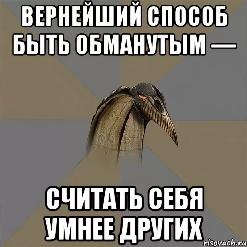 Считать себя умнее других. Кто-то считает себя умнее других. Не нужно считать себя умнее других. Про людей которые считают себя лучше других. Динке хотелось бы обмануть