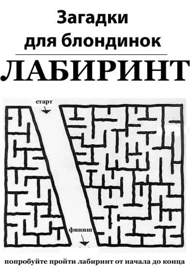 Глупая тайна. Головоломка для блондинок. Блондинка загадка. Сложные загадки.