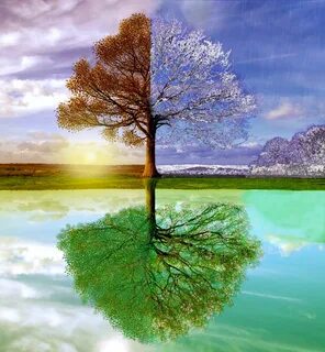 Nature time