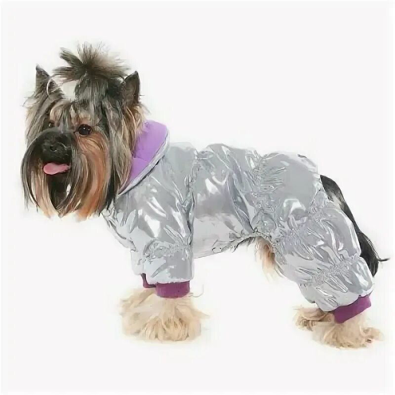 комбинезон formydogs 19563347. дождевик formydogs клён. дождевик для собак formydogs черный. балу одежда для собак. попона formydogs фиолетовая.