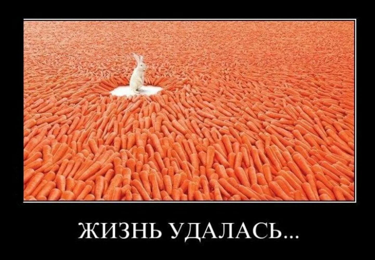 Смешно живешь