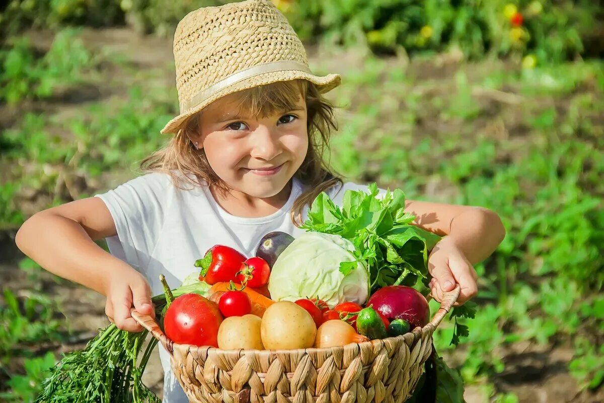 A little vegetables
