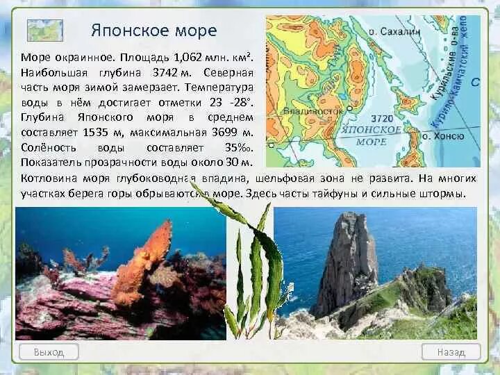 Побережье японского моря на карте. Площадь японского моря. Площадь японского моря. Глубина японского моря. Японское море на карте.