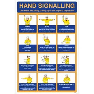 B signals
