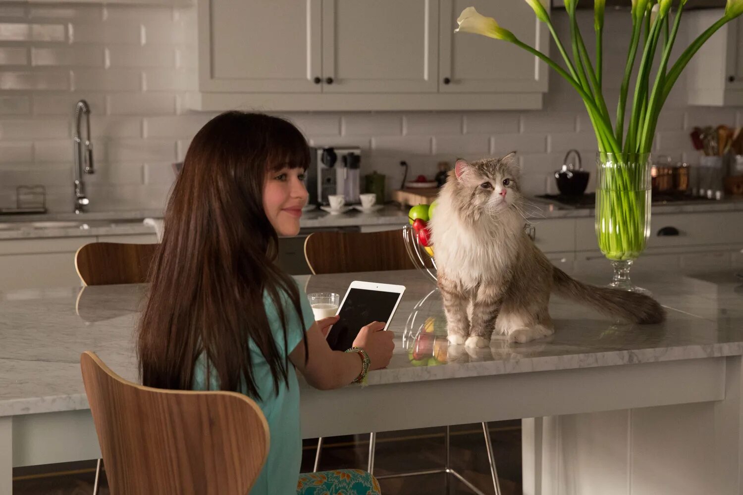 хоста адорабл. росток. растение 9 жизней. растение 9 жизней. растение 9 жизней.