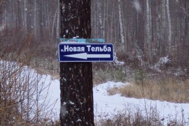 Погода в новой тельбе. Погода в новой тельбе. Погода в новой тельбе. Погода в новой тельбе. Новая тельба.