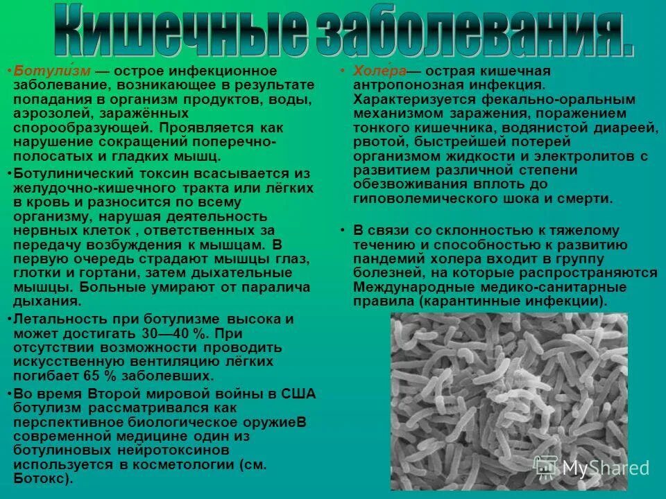 кишечные инфекционные болезни. шигеллез поражение жкт. шигеллез кишечная инфекция. причины желудочно кишечных заболеваний. возбудители вирусных кишечных инфекций микробиология лекция.