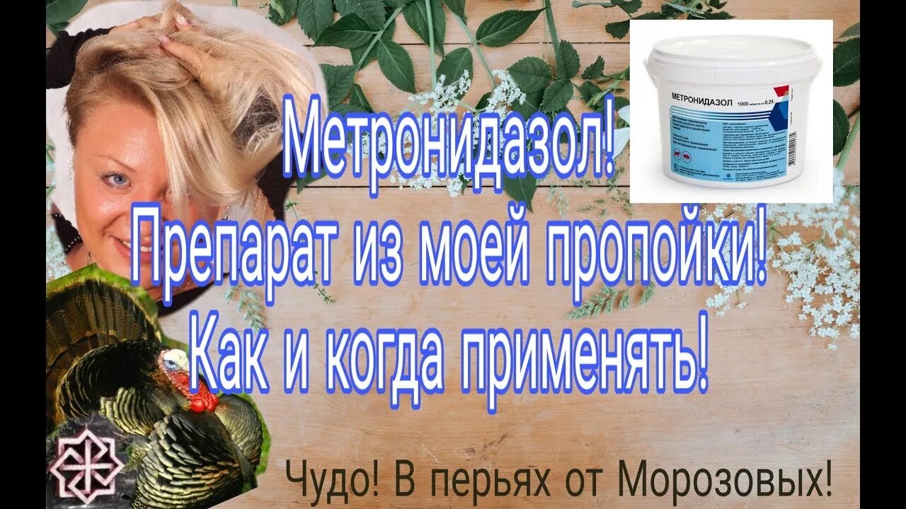 Как давать метронидазол индюшатам. Дозировка метронидазола для индюков. как давать метронидазол индюкам. жидкий метронидазол для индюшат. метронидазол для индюшат дозировка и способы применения.
