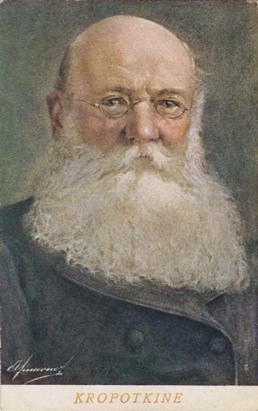 Престарелые кропоткин. П.А. Кропоткин (1842–1921). Князь Кропоткин.