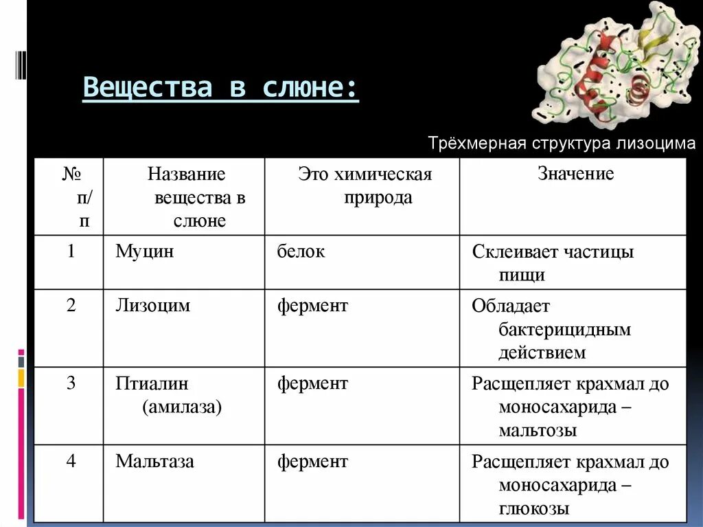 Вещества слюны. Функция лизоцима слюны человека. Лизоцим слюны структура. Лизоцим в слюне функция. Фермент птиалин расщепляет