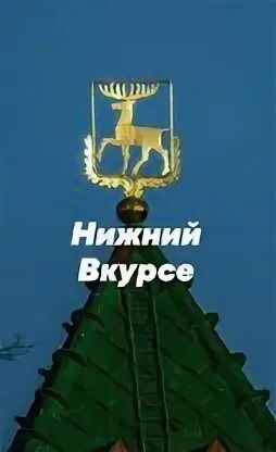 Dzen нижний