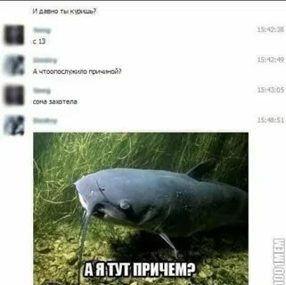 Причем тут работа