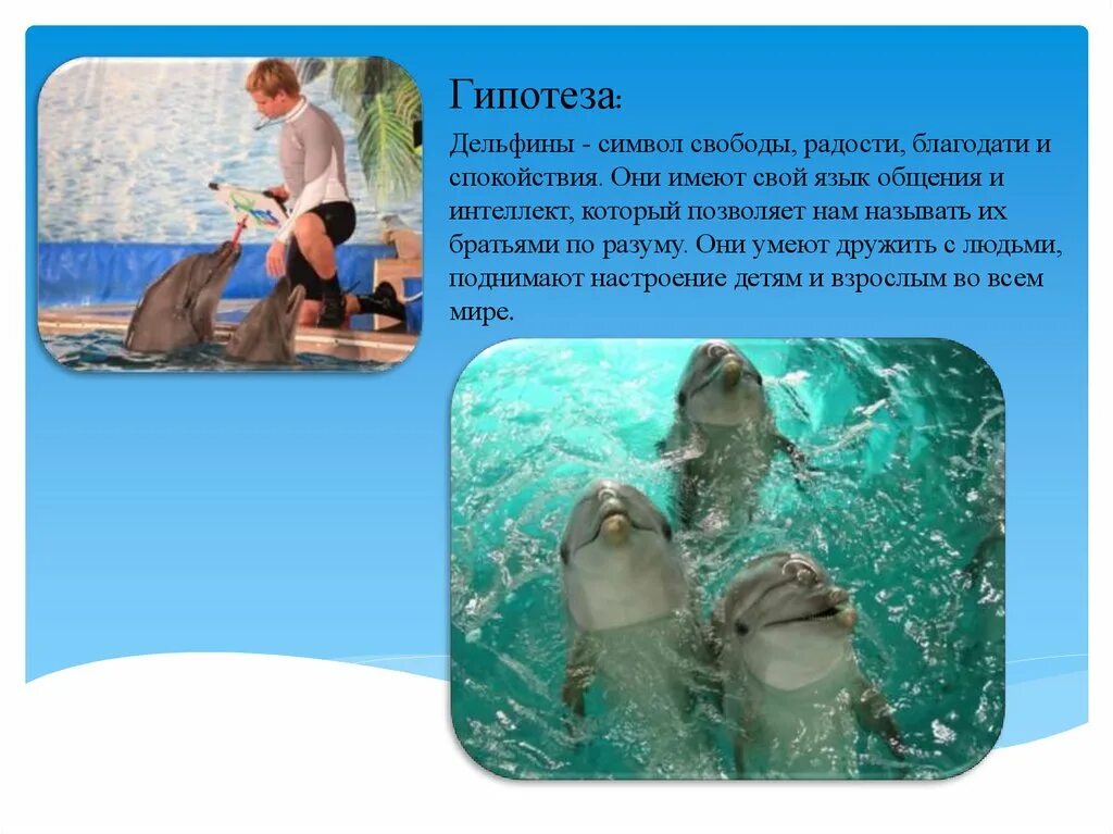 Что символизирует дельфин. Дельфин знак дружбы. Символ дельфина. Что символизирует дельфин. Талисман дельфин значение.