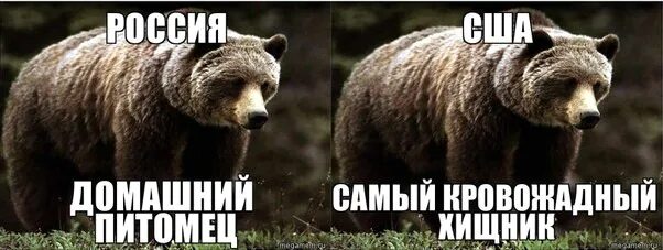 ФИЛЬМЫ опубликовал пост от 25 сентября 2016 в 12:13 Фотострана Пост № 1172565558