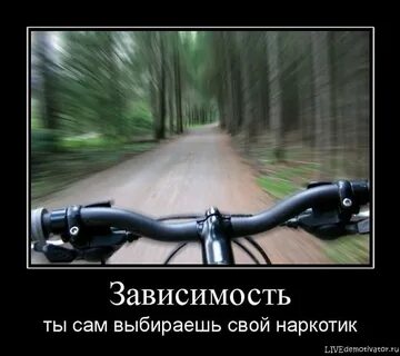 Само зависимость