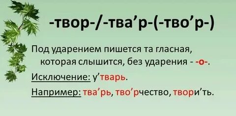 Тварила или творила