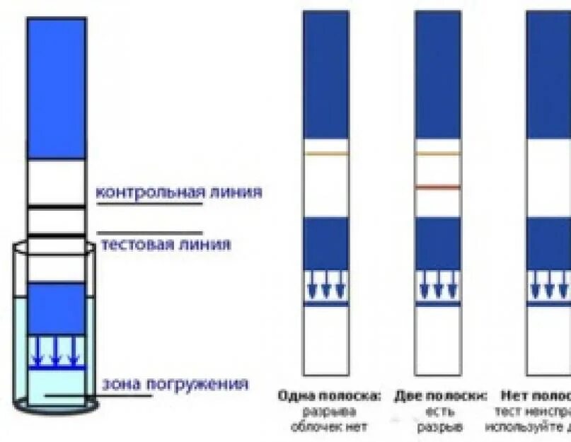 Как делать тест на беременность. Тест полоски. Как делается тест на беременность. Принцип тест полоски на беременность. Как правильно провести тест