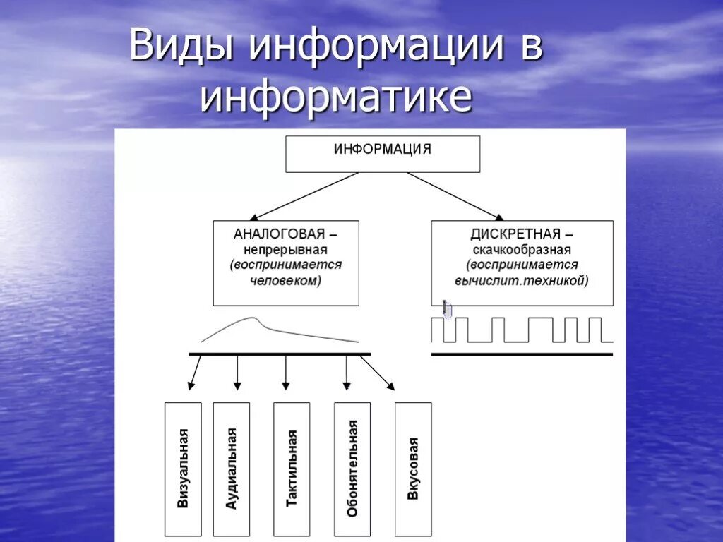 4 информация бывает. Виды информации в информатике. Формы информации в информатике. Какая бывает информация в информатике. Какие бывают виды информации в информатике.