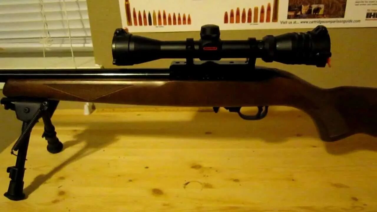 Ruger 10/22 carbine. Ruger 1022 22lr винтовка. 10 22 pm. 10 22 pm. Винтовка ruger 10/22 vleh.
