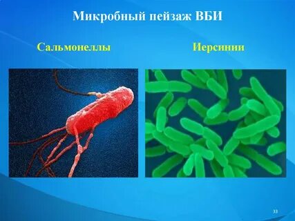 Госпитальный штамм возбудитель