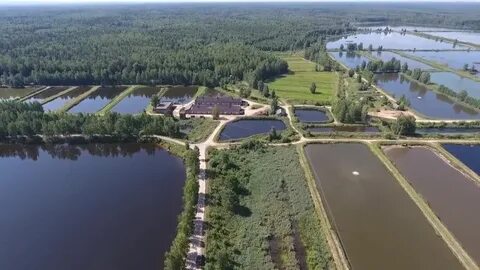 Клинский рыбхоз платная