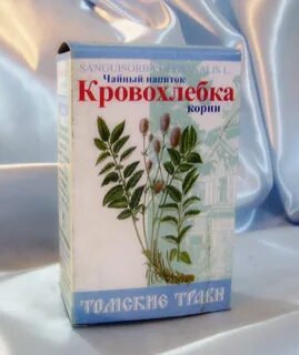 Корневища кровохлебки