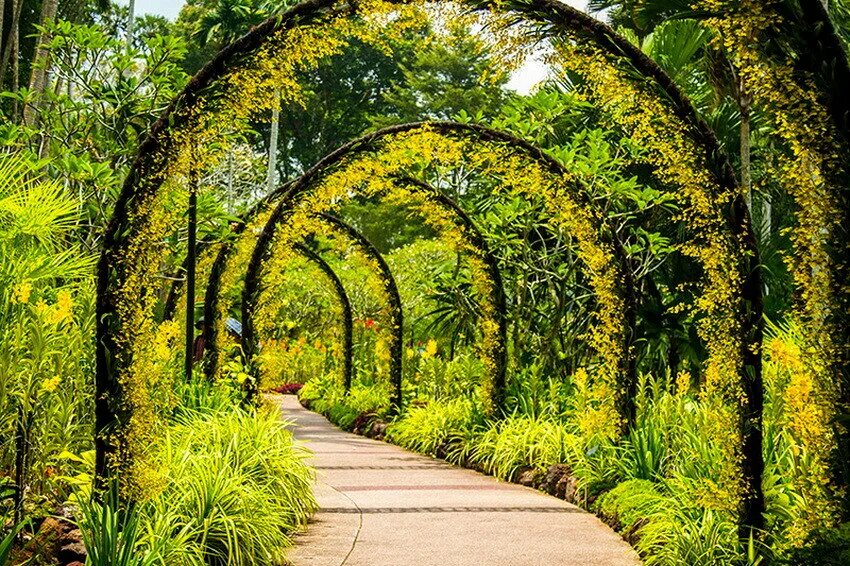 Тир ботанический сад. Ботанический сад ирландии. Ботанический сад арборетум тромпенбург. Ботанический сад аптекарский огород москва. Ботанический сад белфаста.