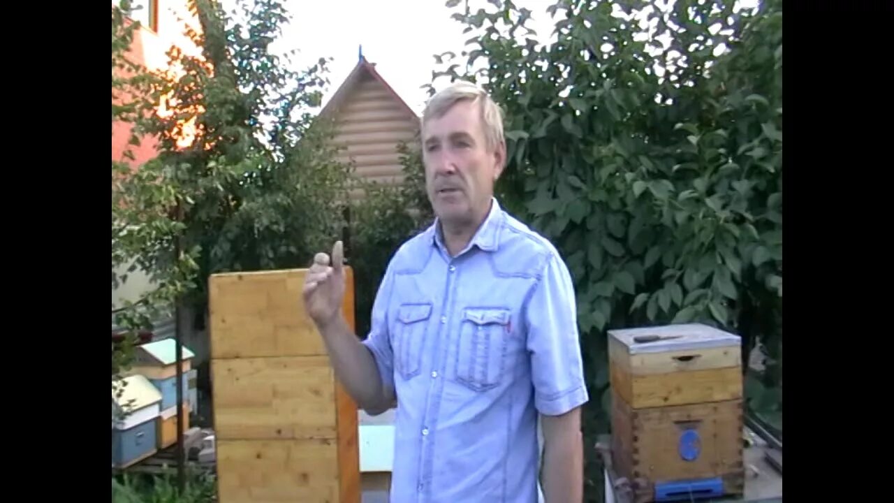 Закорм пчел в зиму. Иан степлер пчеловод. закорм пчел в зиму сиропом сколько.