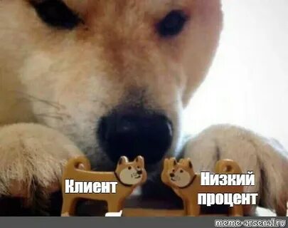 Мем собака и ребенок