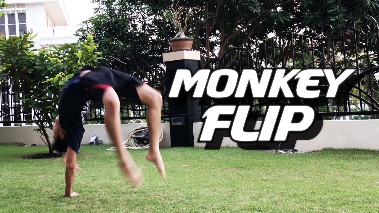 Flip people. Monkey Flip. Манки флип Мем. Манки флип гиф. Гифка Monkey Flip.