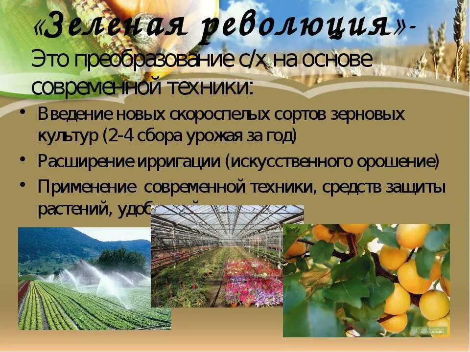Плюсы зеленой революции. Зеленая революция презентация. составляющие зеленой революции. презентация зеленая революция в сельском хозяйстве. зелёная революция география 10 класс.