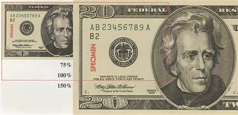 20 bill