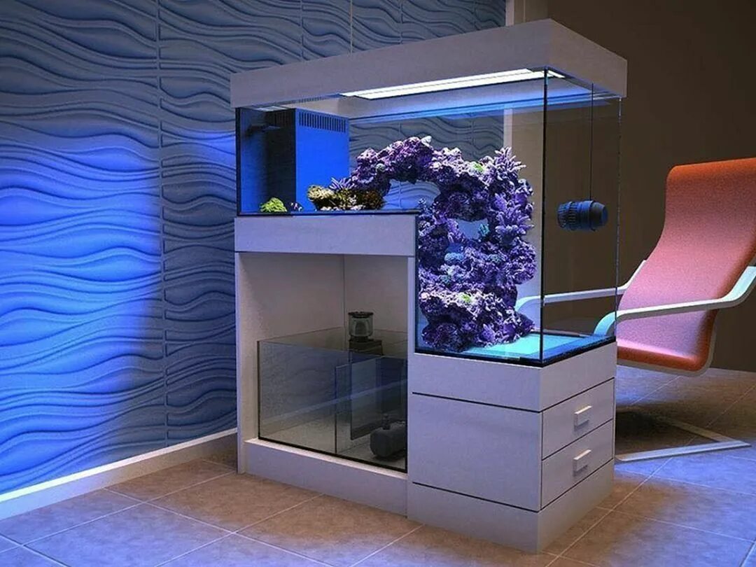 Аквариум риф 250. Необычные аквариумы. Красивые аквариумы. Шикарный аквариум.