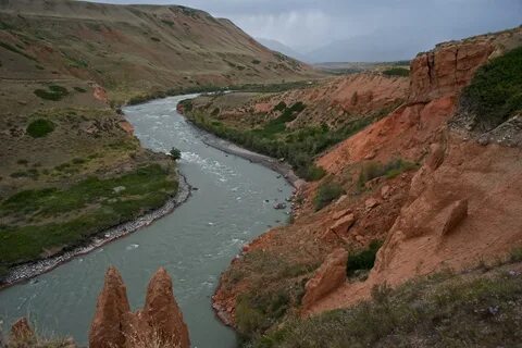 Дарая