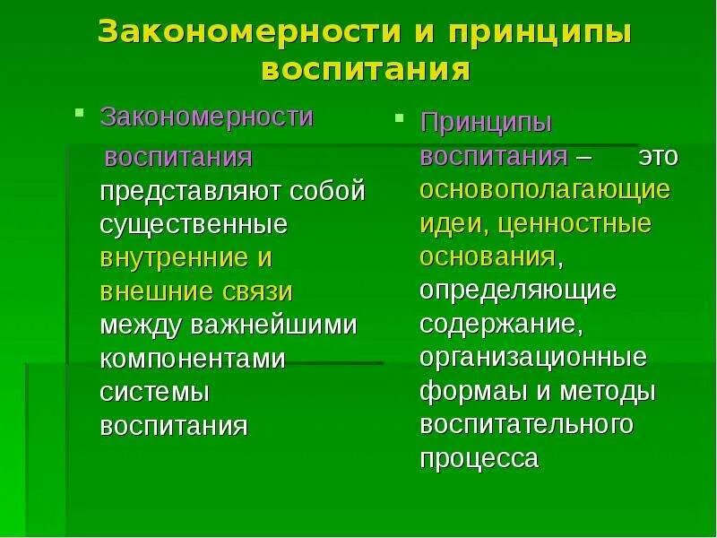 Перечислите законы воспитания. Закономерности и принципы воспитания. Законы закономерности и принципы воспитания. Закономерности воспитания принципы воспитания. Принципы и закономерности воспитательного процесса.