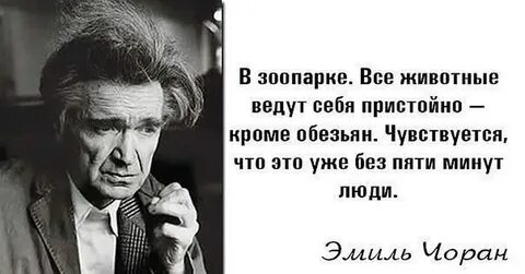 Цитаты люди звери