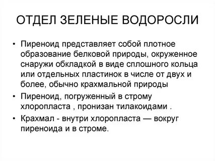 Дайте характеристику зеленым водорослям