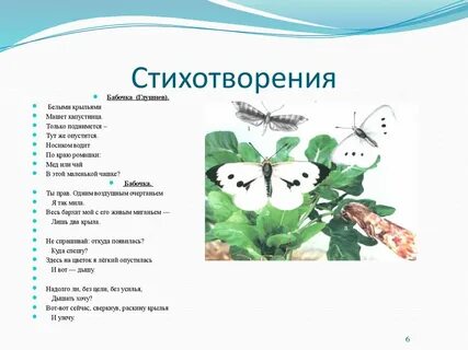 Стих про мотылька