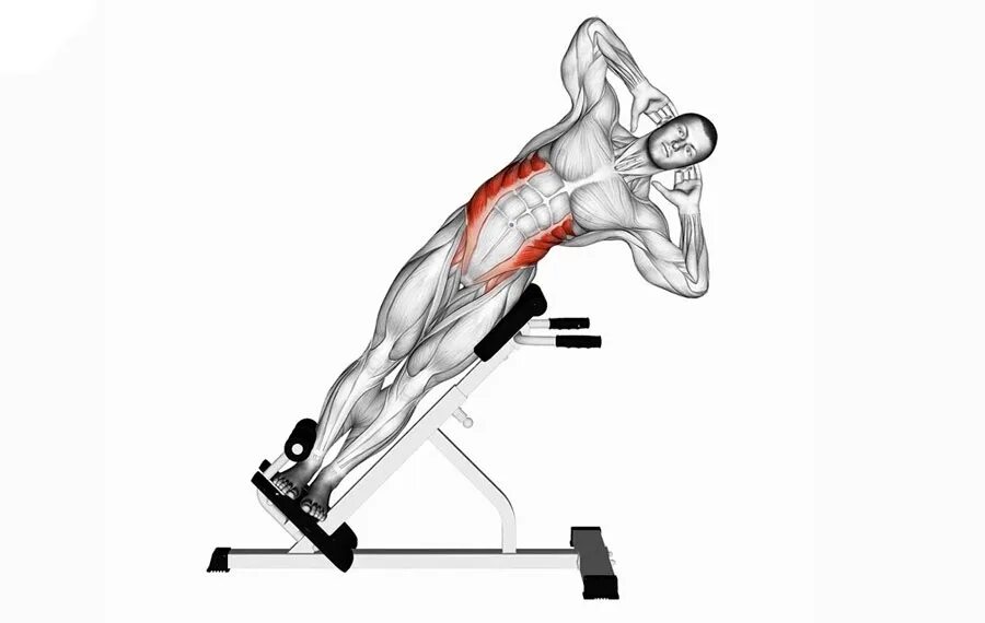 Статическое упражнение на мышцы живота и спины. Гиперэкстензия анатомия. Гиперэкстензия 45 градусов техника. Гиперэкстензия мышцы. Гиперэкстензия спины техника мышцы.