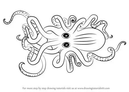 Kraken21